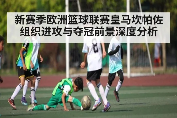 新赛季欧洲篮球联赛皇马坎帕佐组织进攻与夺冠前景深度分析