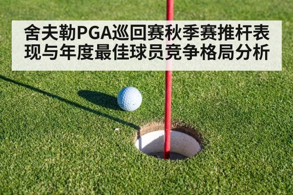 舍夫勒PGA巡回赛秋季赛推杆表现与年度最佳球员竞争格局分析